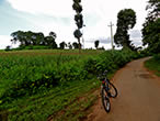 Cycling through the countryside