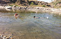 Enjoying a dip in the Kosi river 