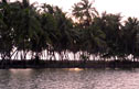 Discovering the coconut countryside on the backwaters